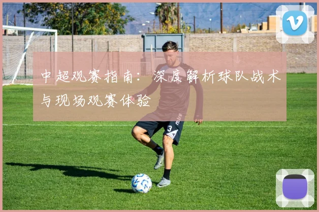 中超观赛指南:深度解析球队战术与现场观赛体验