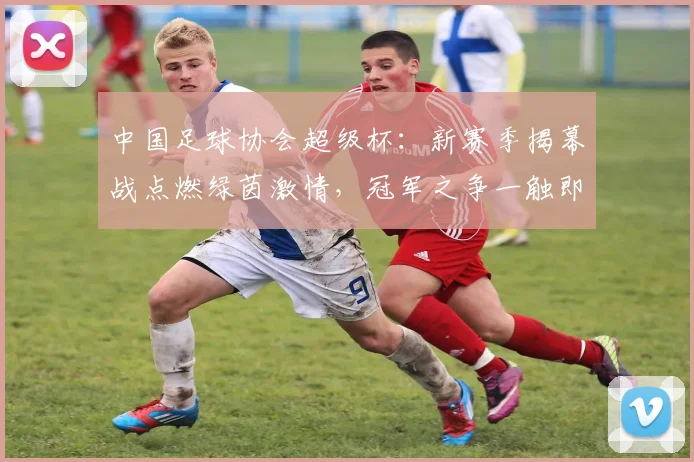 中国足球协会超级杯:新赛季揭幕战点燃绿茵激情,冠军之争一触即发