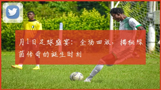 月1日足球盛宴:全场回放,揭秘绿茵传奇的诞生时刻